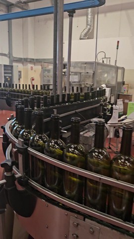 Used MBF Complete Used Still Wine Line Bottling Line, 8,000 BPH – NP 728 — Photo 1
