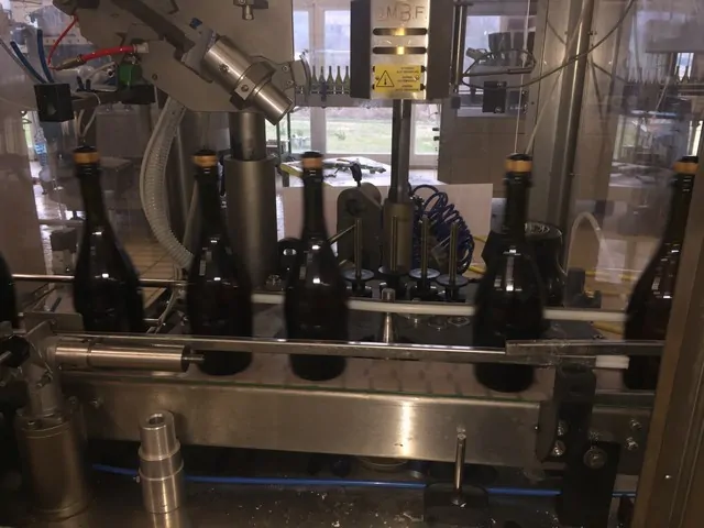 Used Capsuler OMBF photo 2