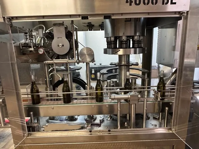 Used Capsuler 2001 GAI 4608 DL photo 5