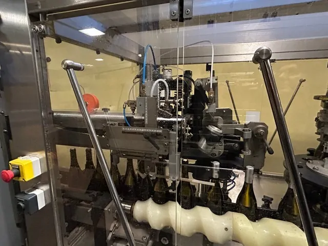 Capsulatrice Usata Robino&Galandrino Astra F6 — BC 378
