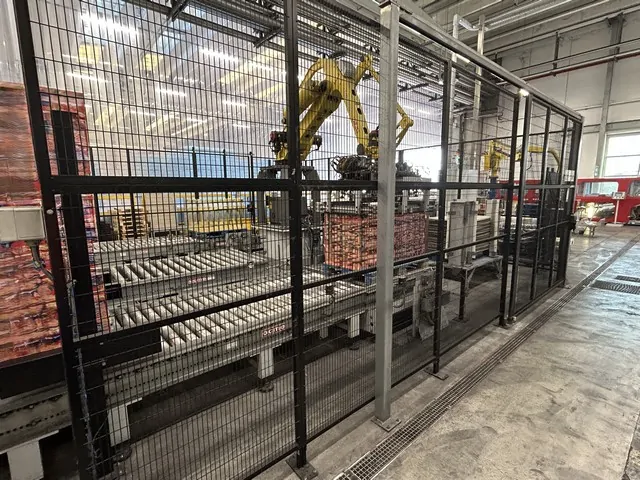 Used Depalletizer Pegasus 2011 Ocme photo 4