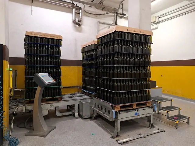 Used depalletizer Logik Lobster 2006 photo 8