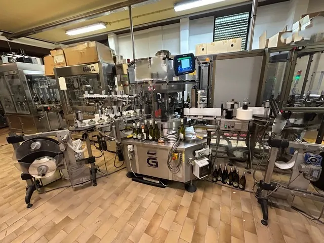 Labeller Cavagnino&Gatti 4.000 bph — EA 646