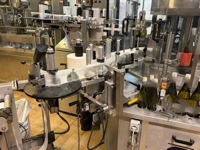 Used Labeller Cavagnino&Gatti 4.000 bph photo 6