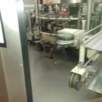 Krones labeller — photo 2