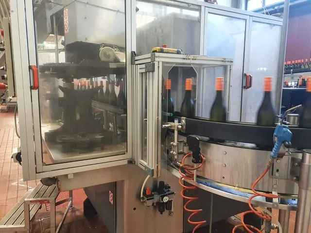 Used Wirehooder Robino&Galandrino 18.000 bph photo 8