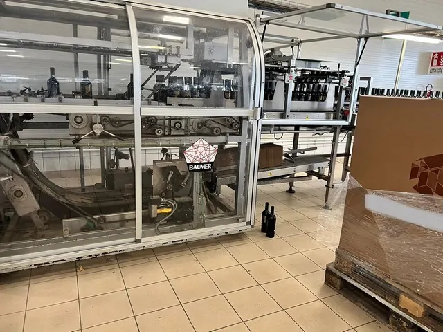 Incartonatrice Wraparound Baumer Flex 512/3 Usato