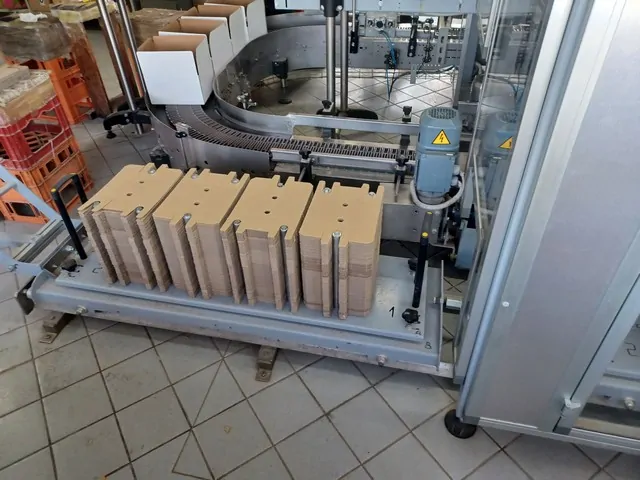Used Case Packer Maspack Horizon 4 photo 3