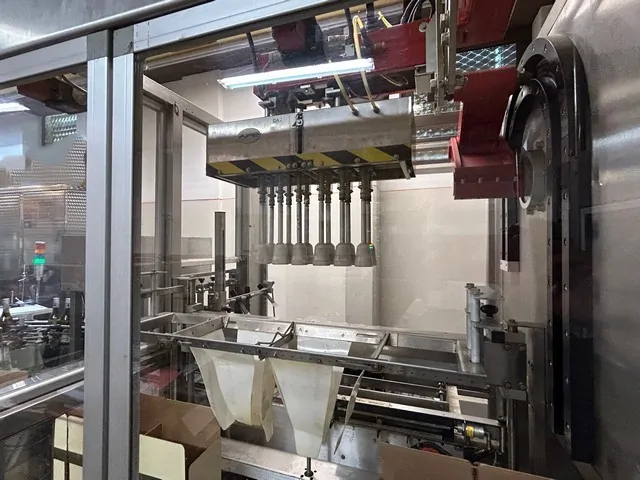 Used Case Packer APE Inca 2001 photo 2