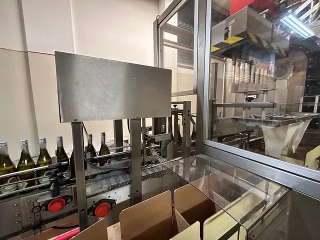 Used Case Packer APE Inca 2001 photo 6