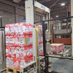 Monoblocco Pallettizzatore Usato Prosystem — foto 3