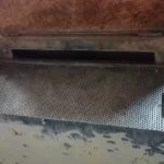 Bottle Washer R.Bardi Pulp — photo 1