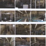 Complete Bottling Line Champagne — photo 2