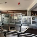 Complete Bottling Line Borelli for Beer — photo 6