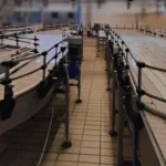 Tetra plast Pet aseptic bottling line 12.000 bph — photo 9
