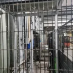 Complete Canning Line KHS 35.000 cph — photo 8