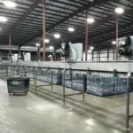 Complete Krones Bottling Line 46.000 bph — photo 5