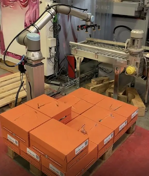 Used Complete Canning Line 10.000 cph photo 2