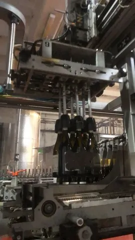 Used Complete Bottling Line for Wine photo 2