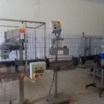 Linea di imbottigliamento Ave Industry usata per olio d'oliva — foto 2