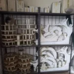 Linea di imbottigliamento Ave Industry usata per olio d'oliva — foto 7