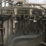 Monoblocco di Riempimento Usato Vir Mauri PET 32.60.10 — foto 3