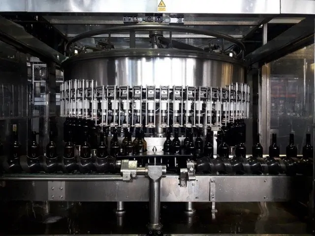 Used filling monoblock Bertolaso 48.60.12 photo 9