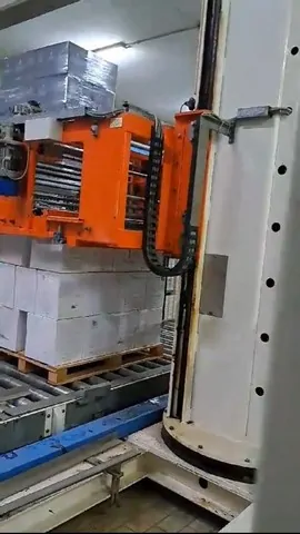 Used Palletizer Cosma Pack Mcpf 11 photo 2