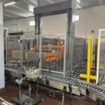Palletizer Mondo&Scaglione P6 — photo 2