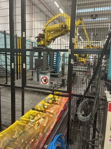 Used palletizer Ocme Pegaus 160 M photo 4