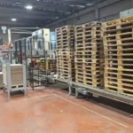 Pallettizzatore Usato Acmi Pallet Rasar PET 2002 — foto 1