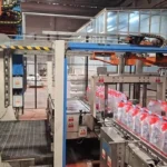 Pallettizzatore Usato Acmi Pallet Rasar PET 2002 — foto 2