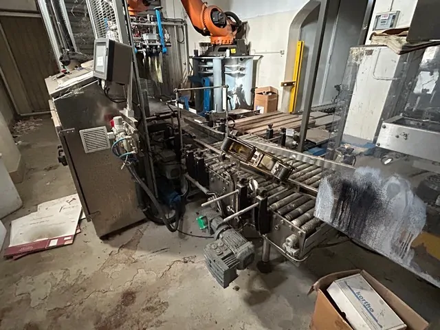 Used Palletizer Mas Pack 2015 photo 9