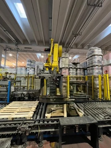 Used Robopac Fanuc palletizer photo 12