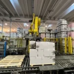 Robopac Fanuc palletizer — photo 13