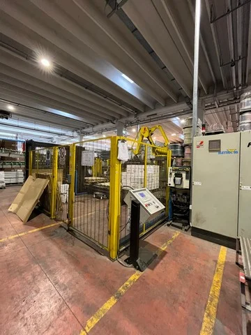 Used Robopac Fanuc palletizer photo 14