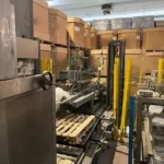 Robopac Fanuc palletizer — photo 6