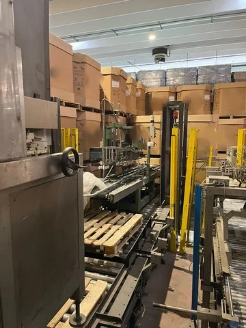 Used Robopac Fanuc palletizer photo 6
