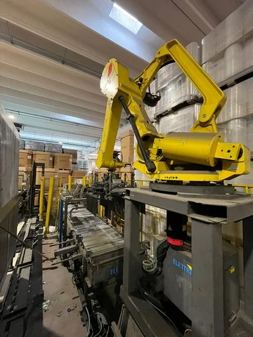 Used Robopac Fanuc palletizer photo 8