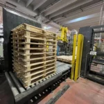 Robopac Fanuc palletizer — photo 9