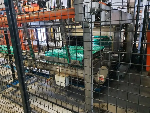 Used Palletizer Levati PET photo 2