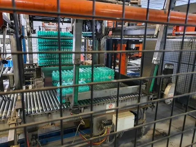 Used Palletizer Levati PET photo 4