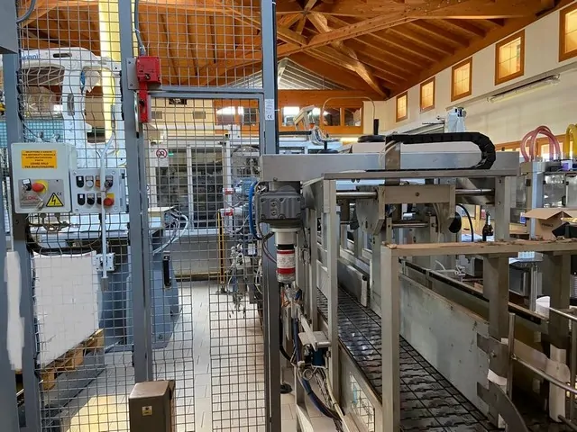 Palletizzatore Mariani Robot Abb Irb 460-110 Usato — R 72