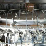 Bertolaso rinser — photo 2