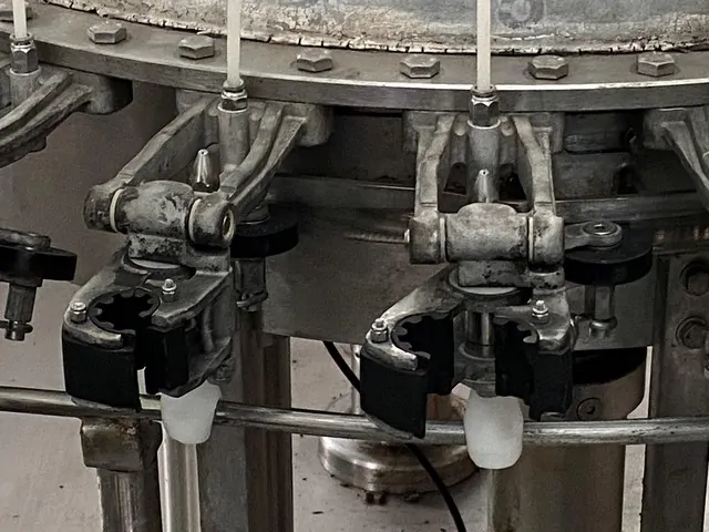 Used rinser Vir Mauri 5.000 bph photo 3