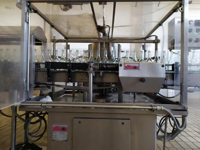 Used rinser Melegari 3.000 bph photo 4