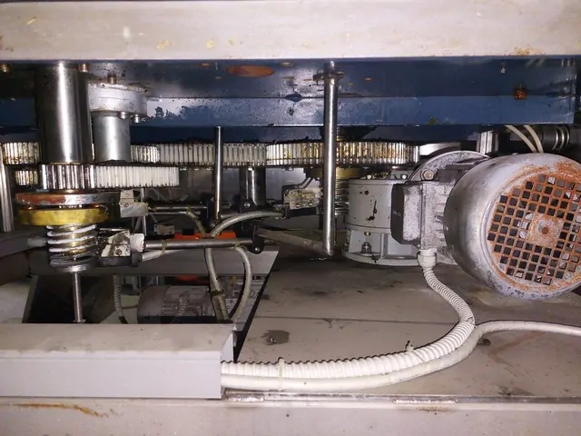 Used rinser Alfatek 3.300 bph photo 8