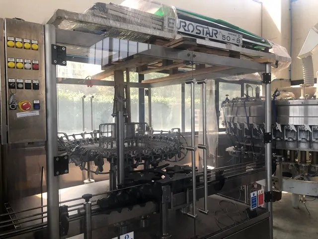 Used Rinser Gaviglio 10.000 bph photo 3